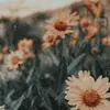 Samantha Keebler643 - @samanthakeebler64 - TikTok