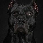 Sam Keeler - @skeeler2100 - Instagram