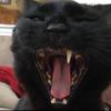 sam - @sam.keeler - TikTok
