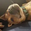 samkern53 - @samkern53 - TikTok