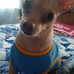Samuel Kerns - Facebook