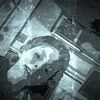 sam key - @samkey - TikTok