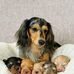 Sam Kiel - Facebook