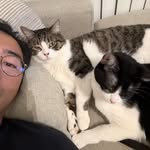 sam kim - @justsamkim - Instagram