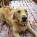 Sam Kinney - @sammc456 - Instagram