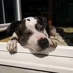Sam Kirkland - @kirbonii - Instagram
