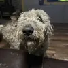 Sam Klein - @samkleinfishes - TikTok