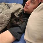 Sam Kline - @thingsonmyheadsam - Instagram
