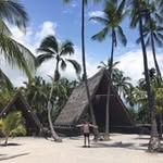 Sam Knott - @samoliverknott - Instagram