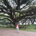 Sam Kodin - Facebook
