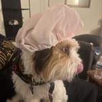 sam kulp - @samkulp_ - Instagram
