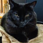 Sam Kunsman - @swkunsman - Instagram