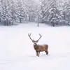 Sam Lake - @samlake58 - TikTok