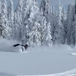 Sammy Lathrop - @sammylathrop - Instagram