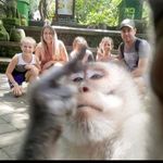Sam - @latino_sam - Instagram
