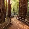 Sam Layne682 - @samlayne2020 - TikTok