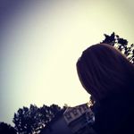 Sam Layton - @roadssend - Instagram