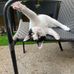 Sam C Lefat - Facebook