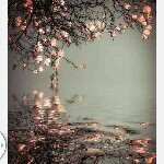 Samantha Ledesma♥ - @_samledesma_ - Instagram