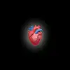 sam_lee🌹 - @saam_lee - TikTok
