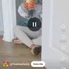 Sam Lee - @sam.lee22 - TikTok