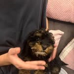 Sam Leighton - @samseal6 - Instagram