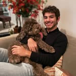 Sam Levy - @hihelloitssamlevy - Instagram
