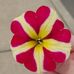 Sam Lew - Facebook