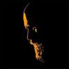 Sam Livingston - @justthetipoftheday - TikTok