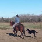 Sam Lockridge - Facebook