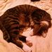 Sam Longstreet - Facebook