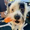 sam_madden - @sam_madden - TikTok