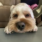 Sam Madison - Facebook