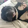 sam.madison74 - @sam.madison74 - TikTok