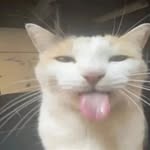 Sam Magee - @_sam.magee_ - Instagram