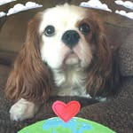 Sam Magee - @sam.mageept - Instagram