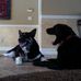 Sam Marcotte - Facebook