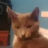 samanthamarcum - @samanthamarcum66 - TikTok