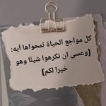 Abo Housam Mardini - @housammardini - Instagram