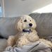Sam Martindale - Facebook