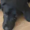 Hi - @sammathis - TikTok