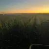 Sam Matsuda - @sammatsuda - TikTok