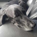 Sam Mattingly - @sam_mattingly2009 - Instagram