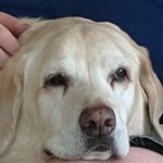 Sam McCormick - @mccormick.exe - Instagram