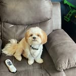 Sam McCormick - @sammccormick57 - Instagram