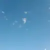 samuel mccrary - @samuel_mccrary - TikTok