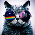 Sam Mcevans - @sam_but_call_me_sammy - Instagram