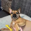 Sam - @sammcevans - TikTok