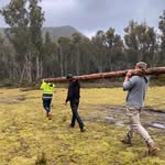 Sam McEwen - @sam.mcewen - Instagram