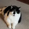 Sam McGhee - @sam.mcghee6 - TikTok
